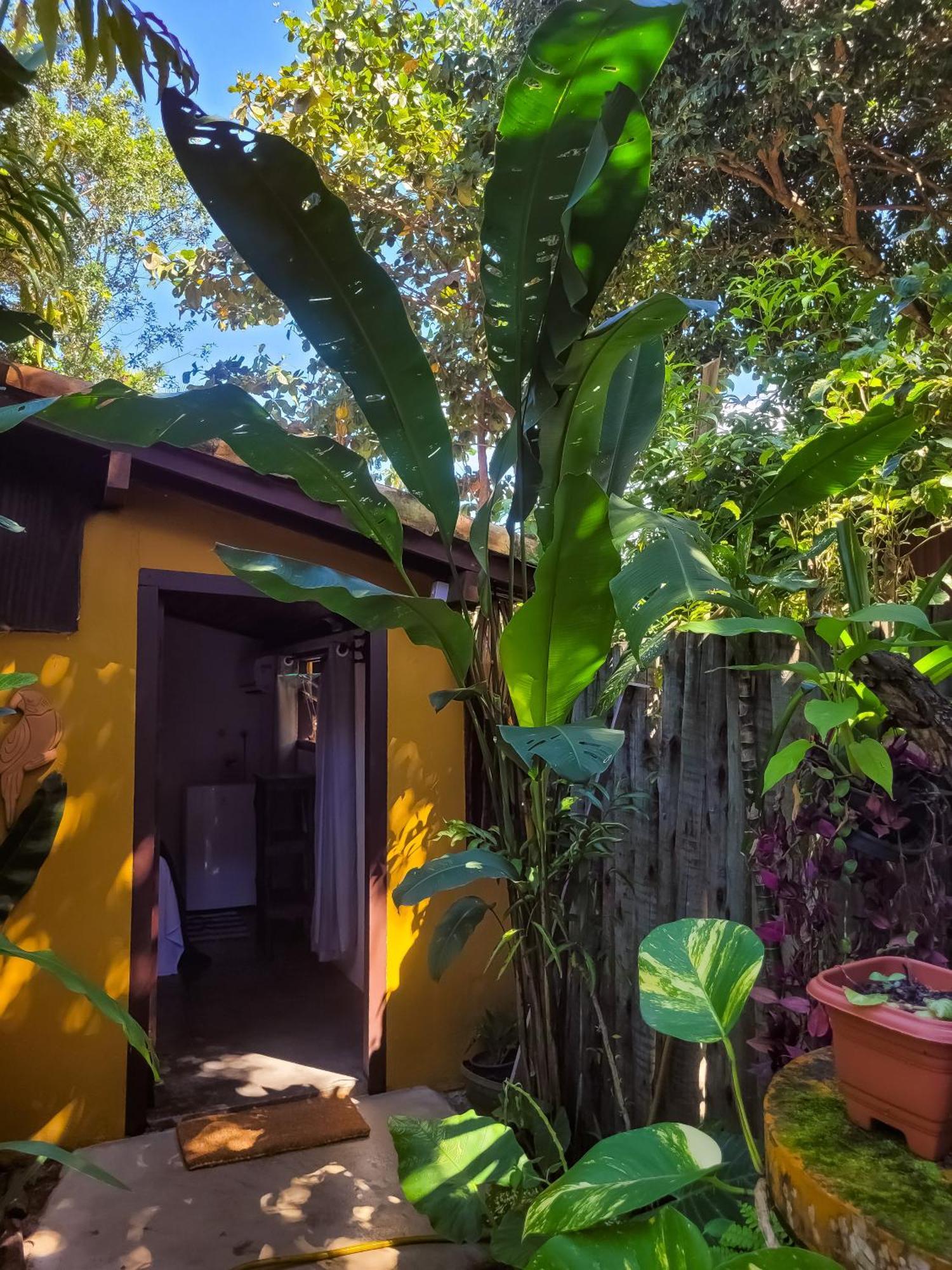 Pousada Raiz Forte Caraíva Exterior foto