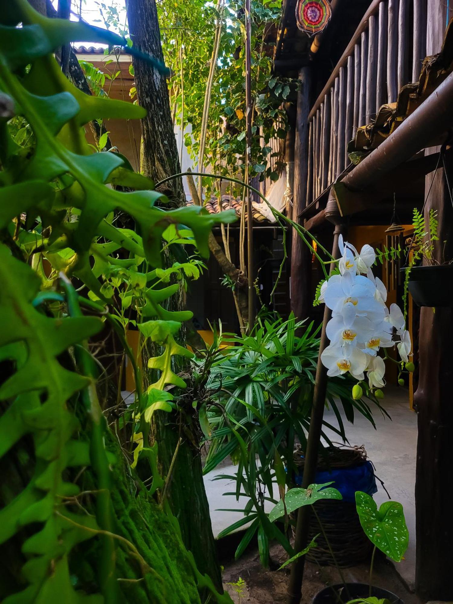 Pousada Raiz Forte Caraíva Exterior foto