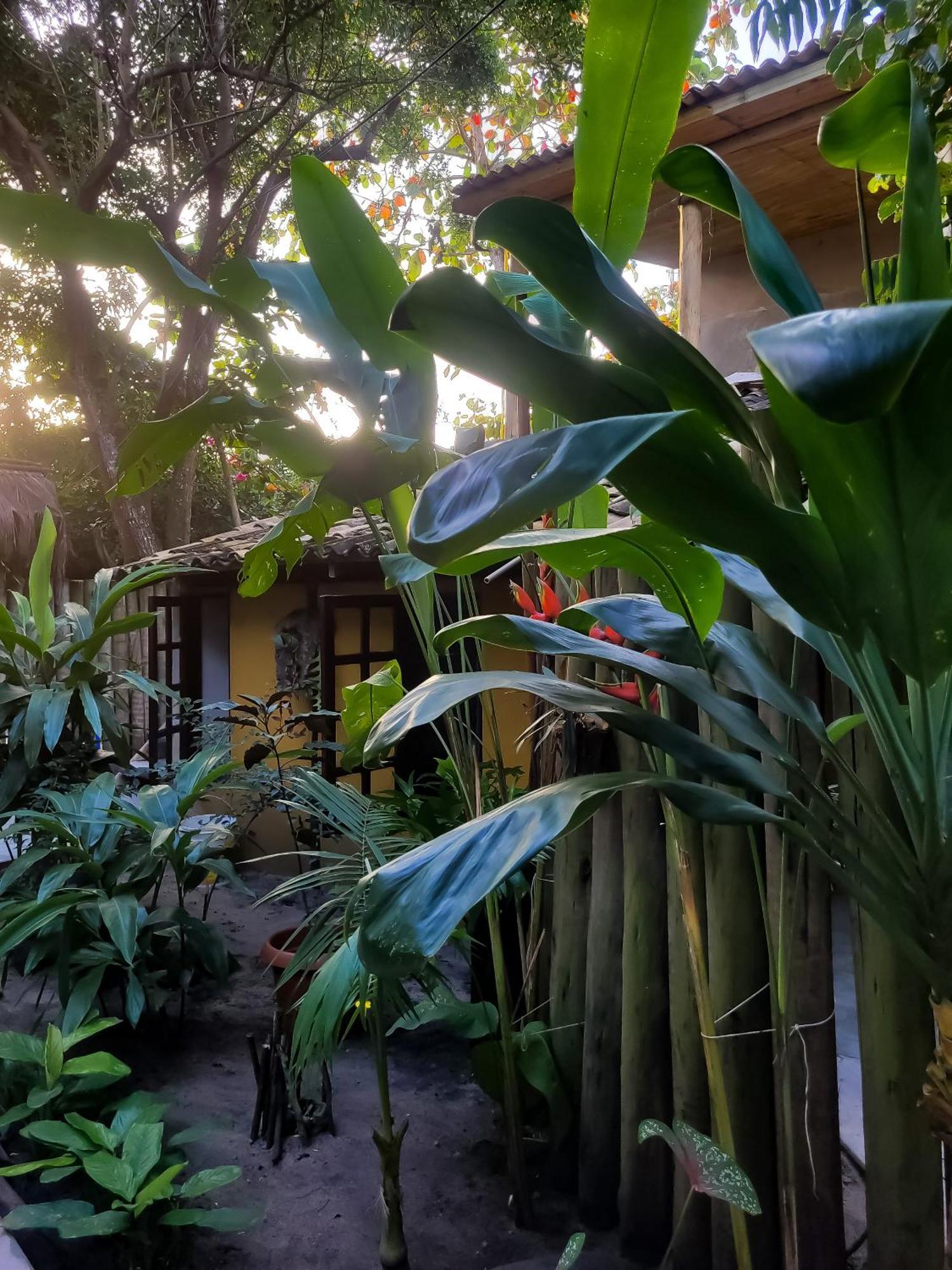 Pousada Raiz Forte Caraíva Exterior foto
